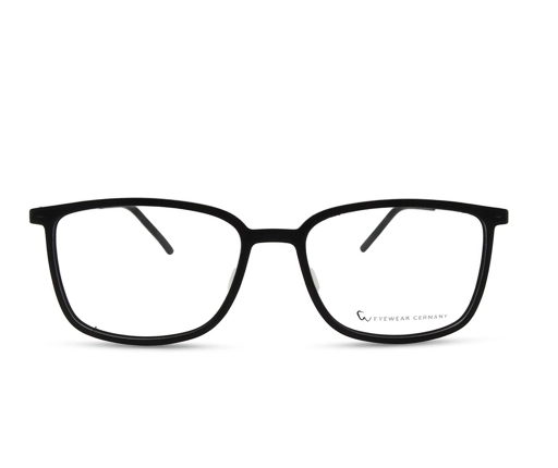 Weber Eyewear 3D Brille ESSEN in Black (F1) – Frontansicht
